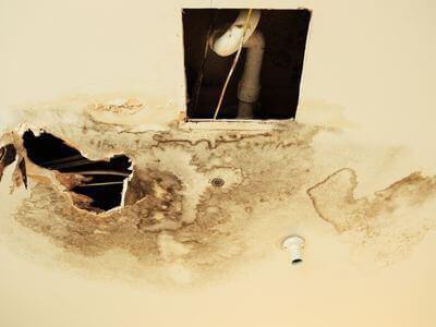 Professional mold removal services in Brookfield